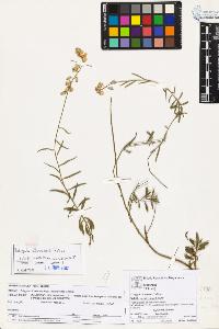 SW_BNB_s3070-05687_IMG-0000000001