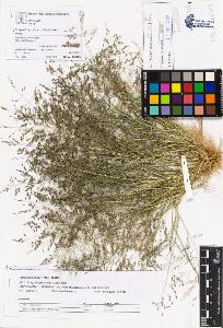 SW_BNB_s3070-05688_IMG-0000000001