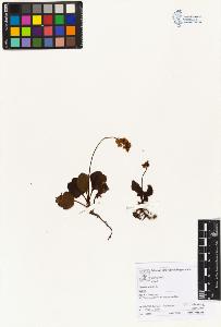 SW_BNB_s3070-05694_IMG-0000000001