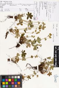 SW_BNB_s3070-05695_IMG-0000000001