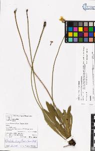 SW_BNB_s3070-05697_IMG-0000000001