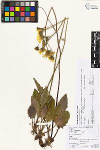 SW_BNB_s3070-05705_IMG-0000000001