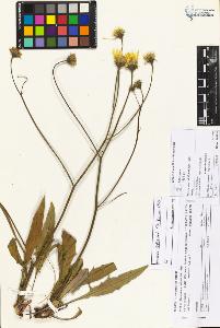 SW_BNB_s3070-05706_IMG-0000000001