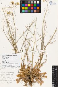 SW_BNB_s3070-05707_IMG-0000000001