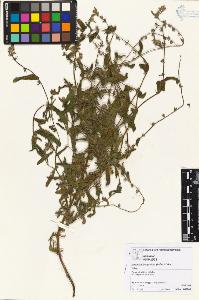 SW_BNB_s3070-05710_IMG-0000000001