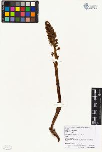 SW_BNB_s3070-05711_IMG-0000000001