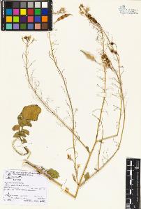 SW_BNB_s3070-05713_IMG-0000000001