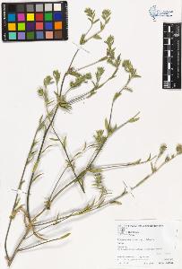 SW_BNB_s3070-05720_IMG-0000000001
