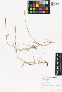 SW_BNB_s3070-05721_IMG-0000000001