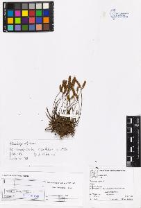 SW_BNB_s3070-05723_IMG-0000000001