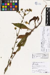 SW_BNB_s3070-05725_IMG-0000000001