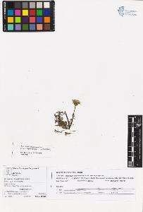 SW_BNB_s3070-05726_IMG-0000000001