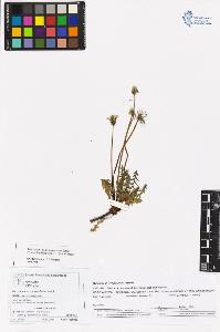 SW_BNB_s3070-05727_IMG-0000000001