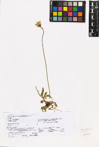 SW_BNB_s3070-05728_IMG-0000000001