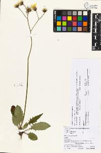 SW_BNB_s3070-05732_IMG-0000000001