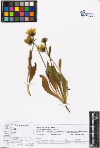 SW_BNB_s3070-05734_IMG-0000000001
