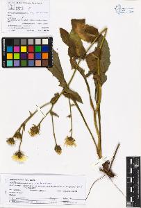 SW_BNB_s3070-05736_IMG-0000000001