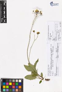 SW_BNB_s3070-05737_IMG-0000000001