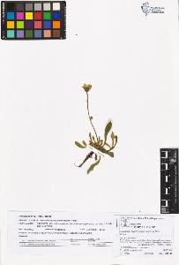 SW_BNB_s3070-05738_IMG-0000000001