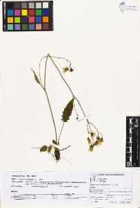 SW_BNB_s3070-05739_IMG-0000000001