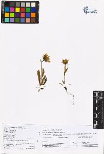 SW_BNB_s3070-05741_IMG-0000000001
