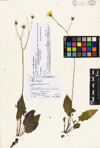 SW_BNB_s3070-05744_IMG-0000000001
