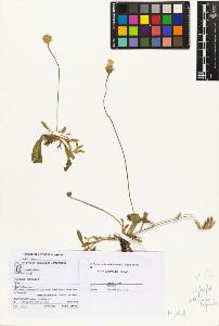SW_BNB_s3070-05745_IMG-0000000001