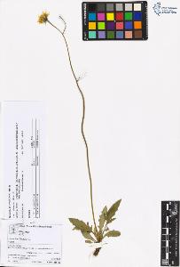 SW_BNB_s3070-05747_IMG-0000000001