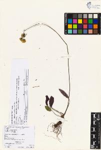 SW_BNB_s3070-05748_IMG-0000000001