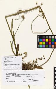 SW_BNB_s3070-05751_IMG-0000000001
