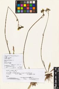 SW_BNB_s3070-05752_IMG-0000000001