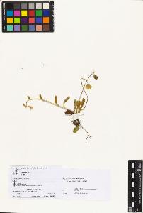 SW_BNB_s3070-05753_IMG-0000000001