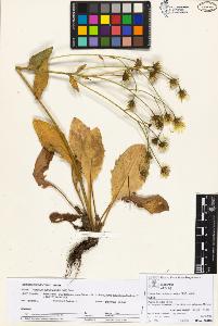 SW_BNB_s3070-05754_IMG-0000000001