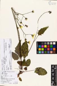 SW_BNB_s3070-05760_IMG-0000000001
