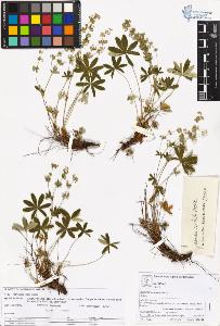 SW_BNB_s3070-05771_IMG-0000000001