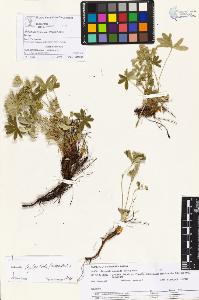 SW_BNB_s3070-05777_IMG-0000000001