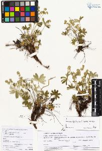 SW_BNB_s3070-05779_IMG-0000000001