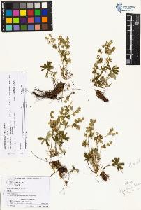 SW_BNB_s3070-05782_IMG-0000000001