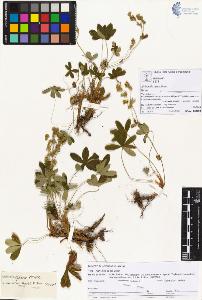 SW_BNB_s3070-05785_IMG-0000000001