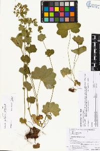 SW_BNB_s3070-05787_IMG-0000000001
