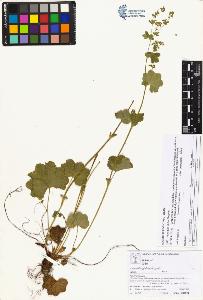 SW_BNB_s3070-05790_IMG-0000000001