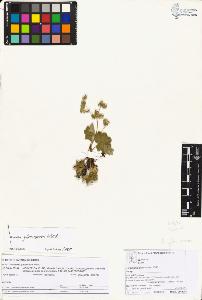 SW_BNB_s3070-05791_IMG-0000000001