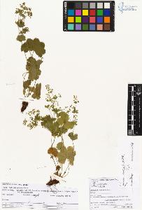 SW_BNB_s3070-05793_IMG-0000000001