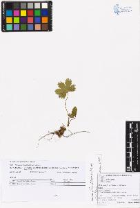 SW_BNB_s3070-05796_IMG-0000000001