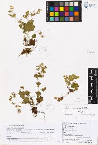 SW_BNB_s3070-05797_IMG-0000000001