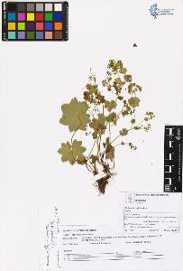 SW_BNB_s3070-05803_IMG-0000000001