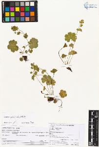 SW_BNB_s3070-05806_IMG-0000000001