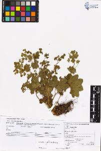 SW_BNB_s3070-05812_IMG-0000000001