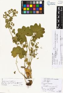 SW_BNB_s3070-05814_IMG-0000000001