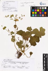 SW_BNB_s3070-05817_IMG-0000000001